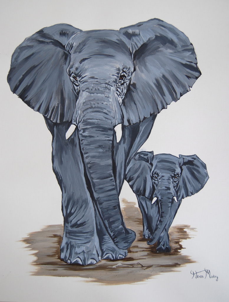 Elephant & Calf