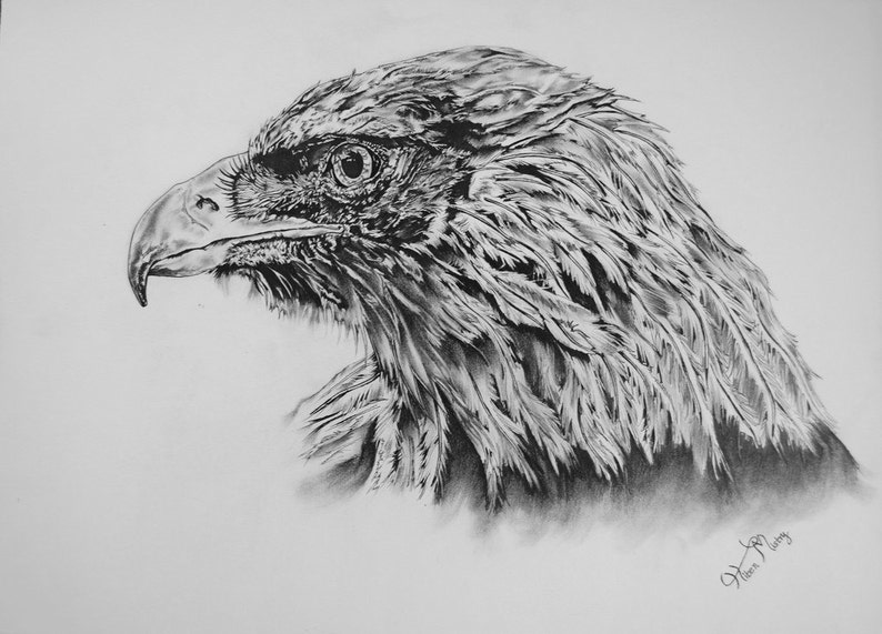 Eagle